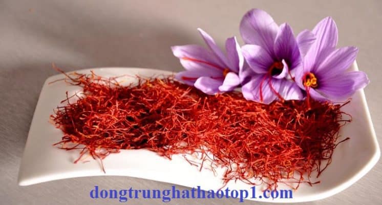Saffron Tây Tạng - nhụy hoa nghệ tây có rất nhiều lợi ích tuyệt vời cho sức khỏe