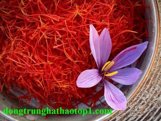 Saffron Tây Tạng - gia vị đắt nhất trên thế giới