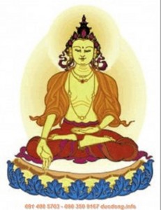 Giới thiệu các vị Phật, Bồ Tát, Hộ pháp - Phần 1: 5 vị Chư Phật Shop Hoa Vô Ưu
