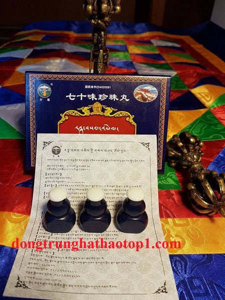 Viên bổ não 70 vị trân châu hoàn Cam Lộ Tây Tạng