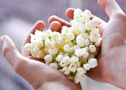 Lòng biết ơn là lời cảm ơn chân thành, trân trọng những gì bạn có, chú ý tới những niềm vui nhỏ bé, và là lòng cảm tạ với tất cả những gì bạn được nhận.