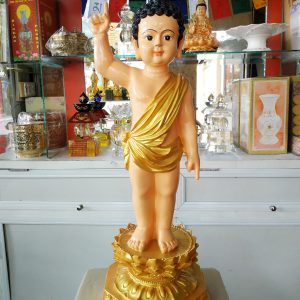 tượng Phật Đản sanh 60cm