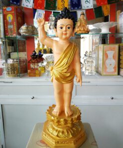 tượng Phật Đản sanh 60cm